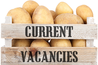 Current Vacancies